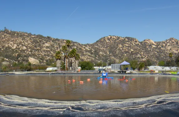 cooling pond and intake dredging